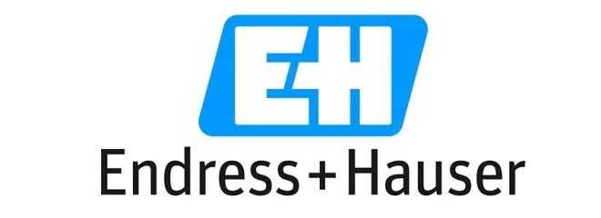 endress and hauser downloads